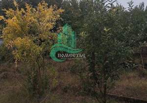 Дом 90м&sup2;, 1-этажный, участок 10 сот.  