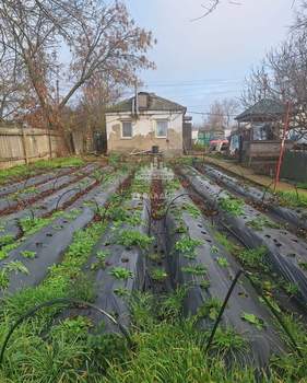 Дом 40м², 1-этажный, участок 10 сот.  